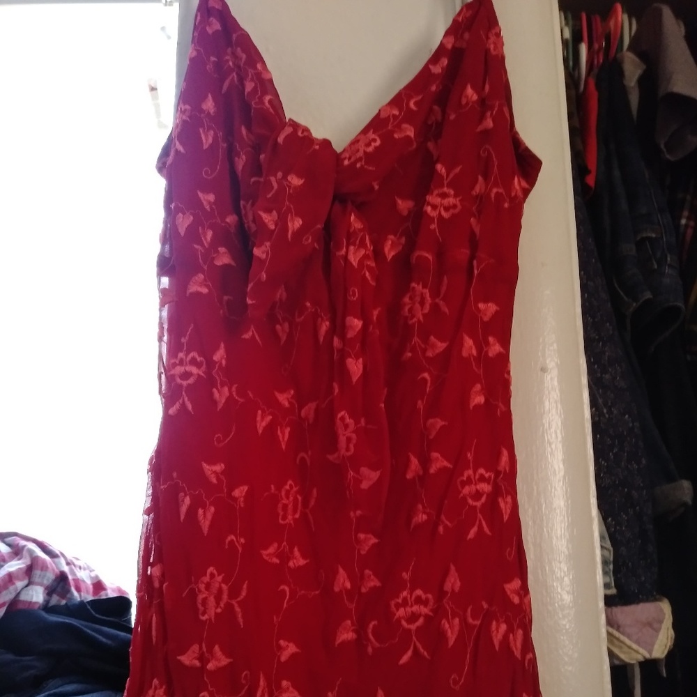 Betsey Johnson Embroidered Floral Dress